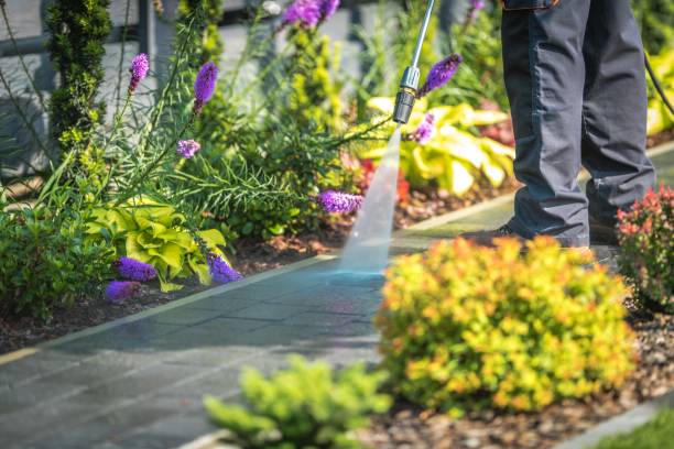 Blackshear, GA Pressure Washing Services Company