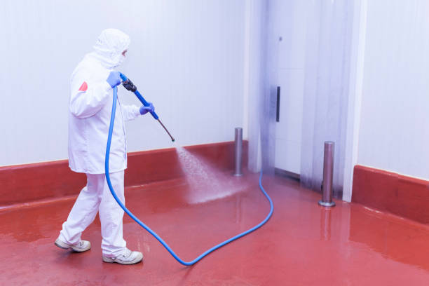Best Building Exterior Pressure Washing in Blackshear, GA