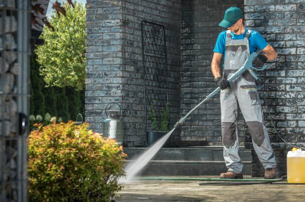 Best Roof Cleaning and Mildew Removal in Blackshear, GA